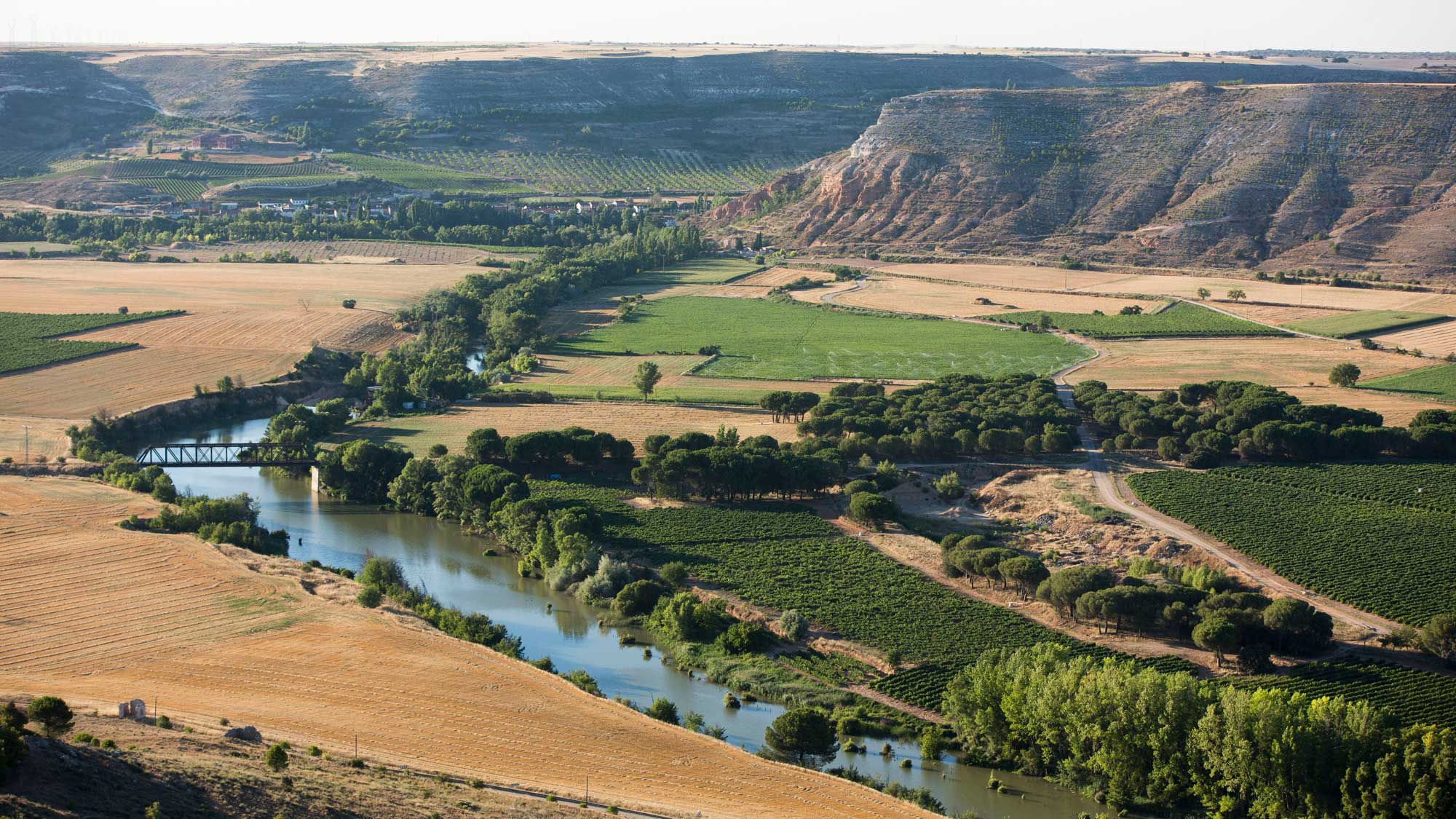 Spanish wine region Ribera del Duero